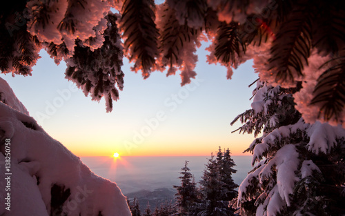 Sonnenaufgang am Berg photo