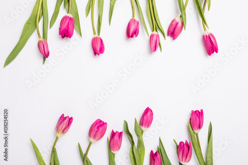 pink tulips isolated on white for two sides. Flat lay, top view.