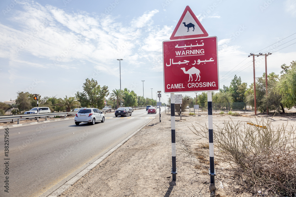 Obraz premium Camel Crossing sign in Abu Dhabi, UAE