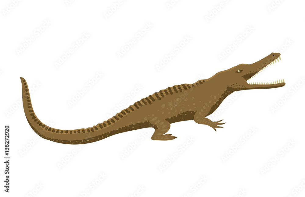 Fototapeta premium Cartoon green crocodile danger predator and australian wildlife river reptile carnivore alligator with scales teeth flat vector illustration.