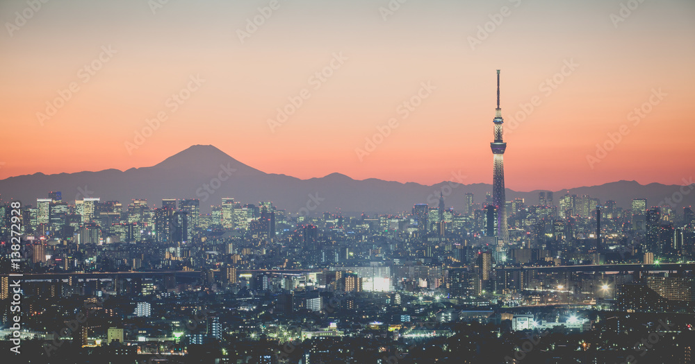 Tokyo city view and mountain fuji at sunset..