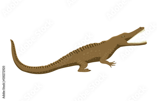 Fototapeta Naklejka Na Ścianę i Meble -  Cartoon green crocodile danger predator and australian wildlife river reptile carnivore alligator with scales teeth flat vector illustration.