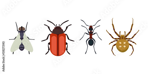 Insect icon flat isolated nature flying bugs beetle ant and wildlife spider grasshopper or mosquito cockroach animal biology graphic vector illustration. © partyvector