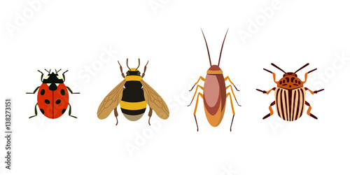 Insect icon flat isolated nature flying bugs beetle ant and wildlife spider grasshopper or mosquito cockroach animal biology graphic vector illustration.