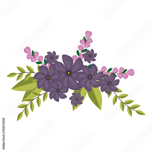 violets flowers crown floral design with leaves vector illustration