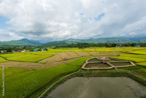 Rice terraces on mountain in Nan Province  northern of Thailand.