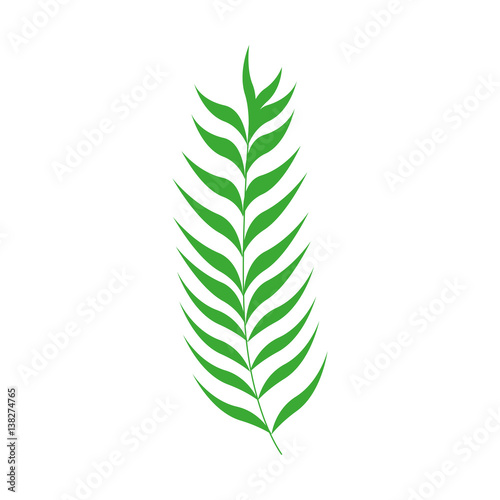 green stem with many leaves vector illustration