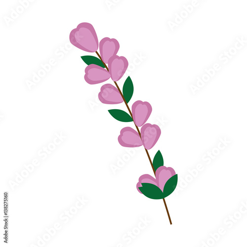 color Silhouette flowers with oval leaves and ramifications vector illustration