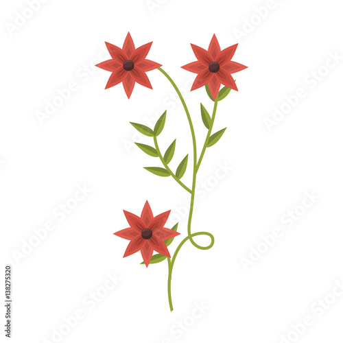 plant with ramification and red flowers vector illustration