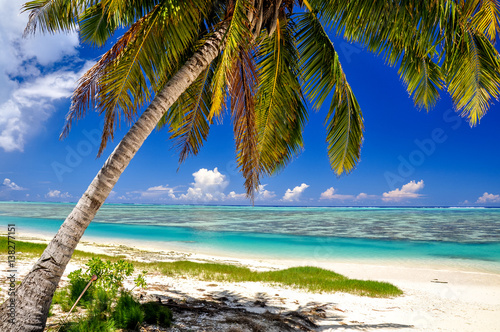 Stunning view of a beautiful beach on the remote island of Aitutaki  north of the main island Rarotonga  Cook Islands. White sand beach  shallow water  palm trees and a coral reef. 