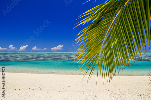 Stunning view of a beautiful beach on the remote island of Aitutaki  north of the main island Rarotonga  Cook Islands. White sand beach  shallow water  palm trees and a coral reef. 