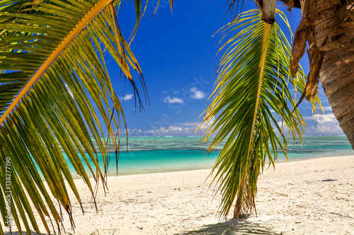 Stunning view of a beautiful beach on the remote island of Aitutaki  north of the main island Rarotonga  Cook Islands. White sand beach  shallow water  palm trees and a coral reef. 