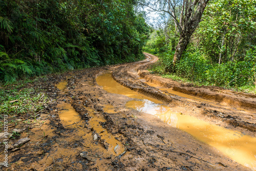 Impassable forest road of mud and clay, offroad
