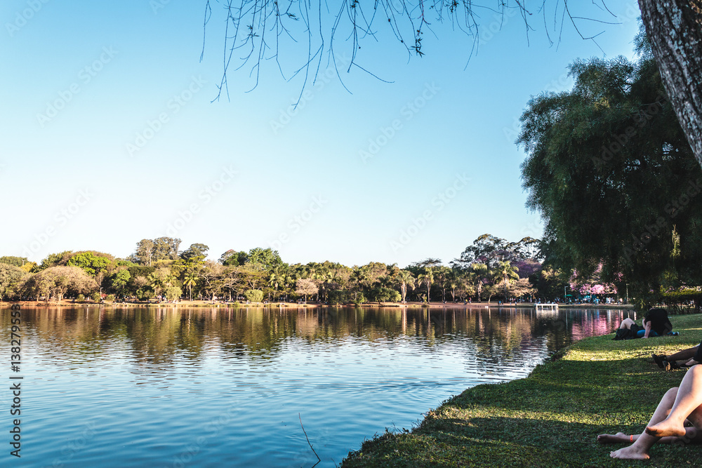 Obraz premium Ibirapuera Park in Sao Paulo, Brazil (Brasil)