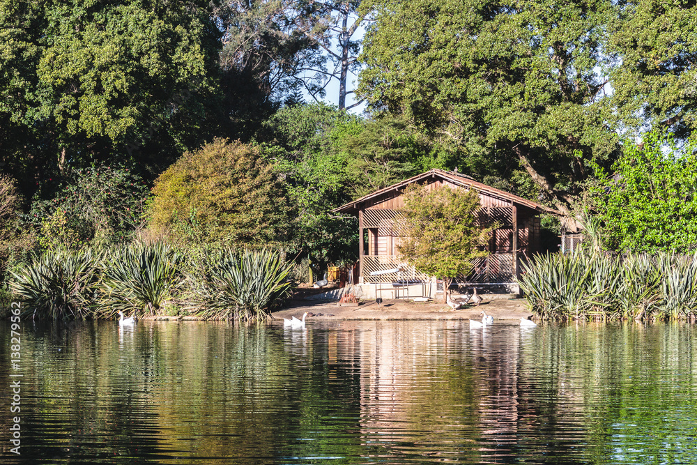 Fototapeta premium Ibirapuera Park in Sao Paulo, Brazil (Brasil)