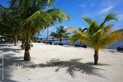 Caribbean beach   Ambergris Caye  Belize