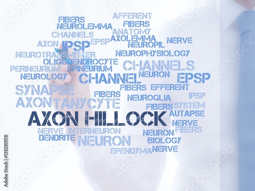 Axon hillock photo