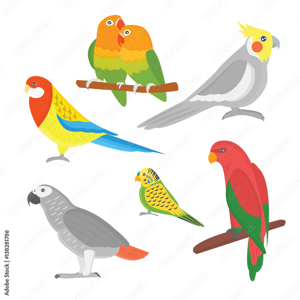Obraz Kreskówki tropikalnej papugi dzikiego zwierzęcia ptasia wektorowa ilustracja.