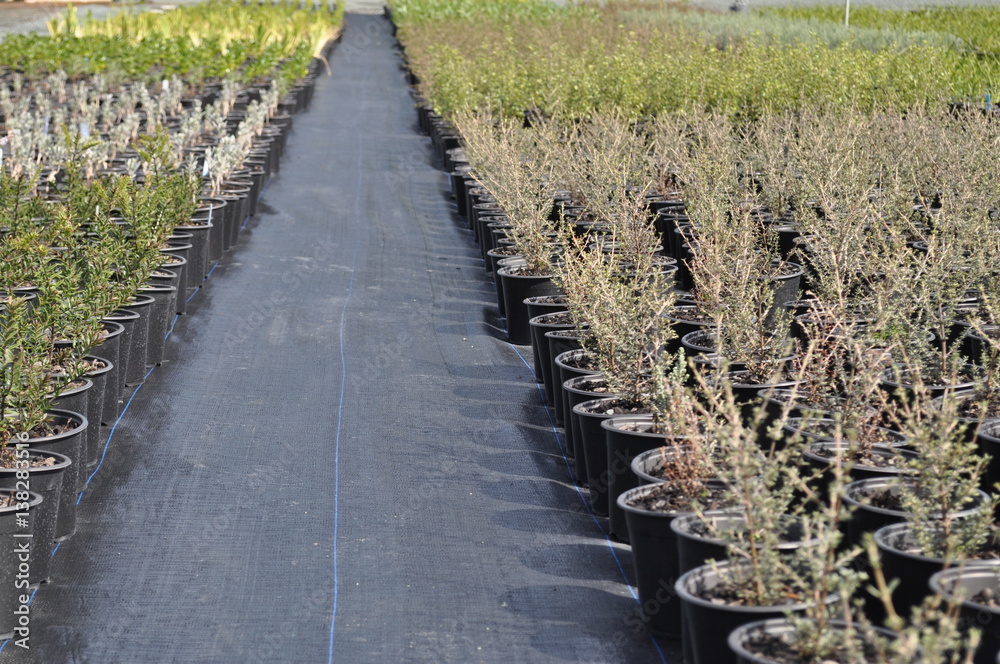 Obraz premium Nursery