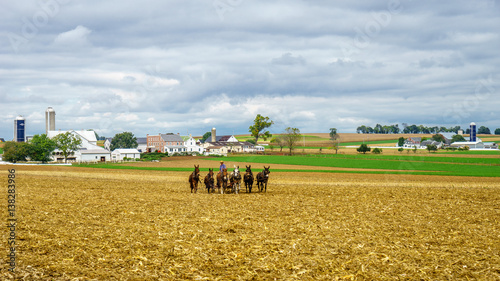 Amish country, PA photo