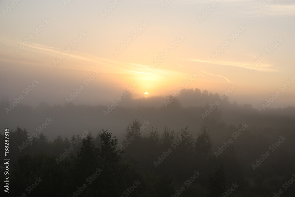 Sunrise over coppices in a fog./Early summer morning. Through a fog silhouettes of deciduous coppices have started to appear. The sun has looked out and has started to shine easy clouds in the sky.
