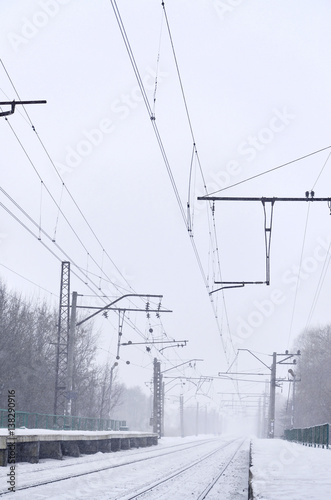 Photo of the railway station in the suburbs or the countryside. The railroad runs between dense rows of trees. Snow-covered platform during snowfall with strong wind