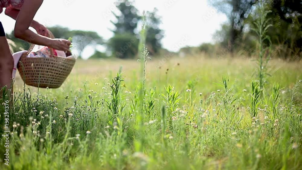 Woman collecting wildflowers and herbs growing in countryside