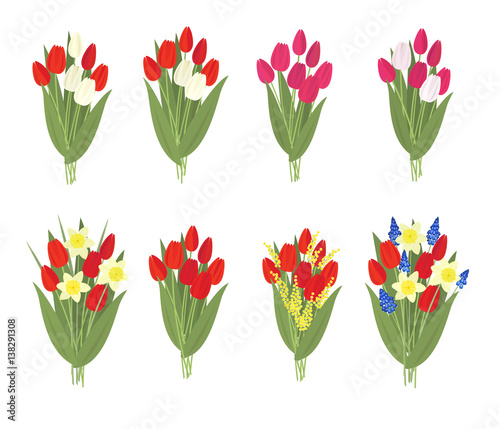 Set of eight vector  bouquets of spring flowers: tulips  assorted colors, daffodils, Acacia, Muscari