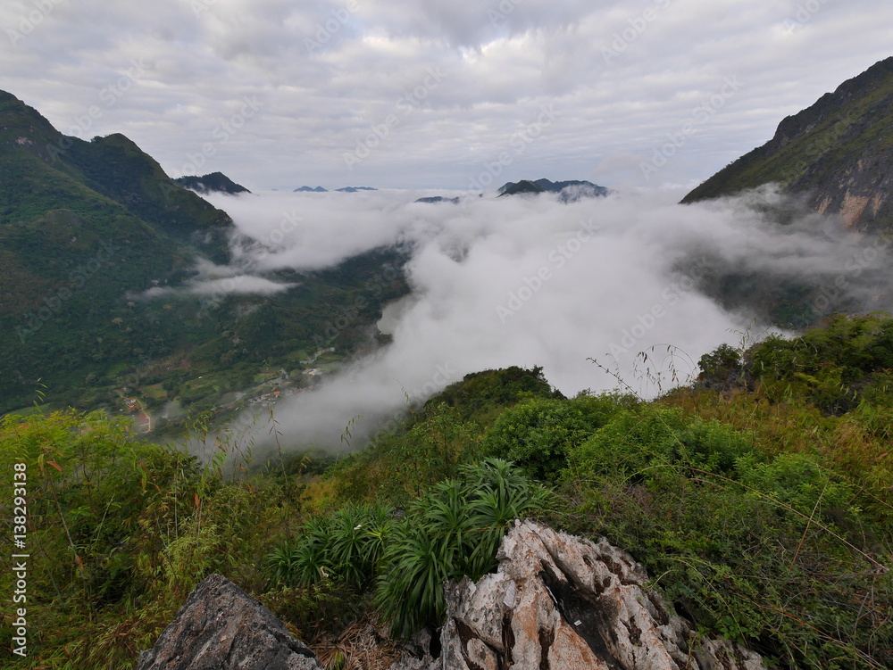 Forest tropical foggy mountain hill landscape Forest tropical foggy mountain hill landscape