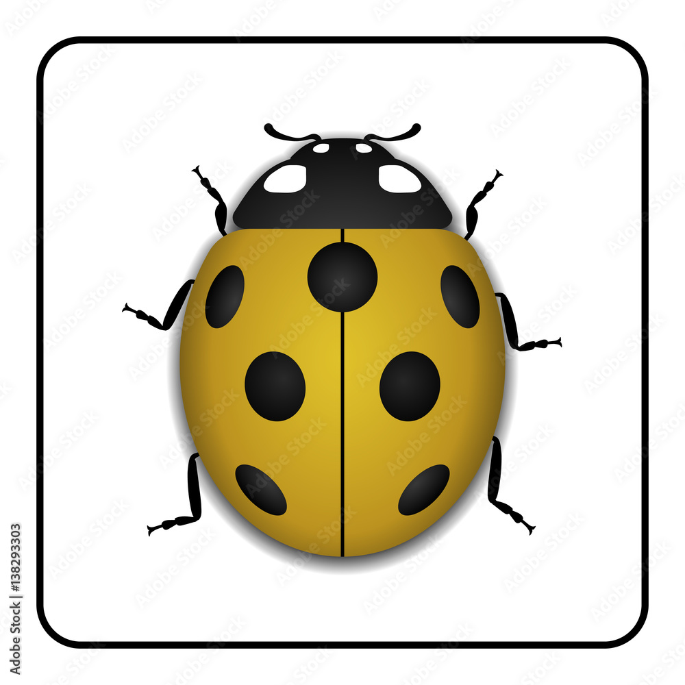Obraz premium Ladybug small icon. Yellow lady bug sign, isolated on white background. 3d volume design. Cute colorful ladybird. Insect cartoon beetle. Symbol of nature, spring or summer. Vector illustration
