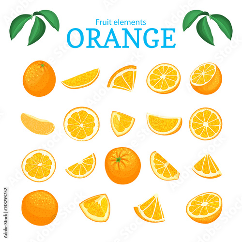 Vector set of ripe tropical orange fruits. Oranges peeled, piece of half slice leaf. Collection of delicious citrus orange designer elements for packaging of juice breakfast health food