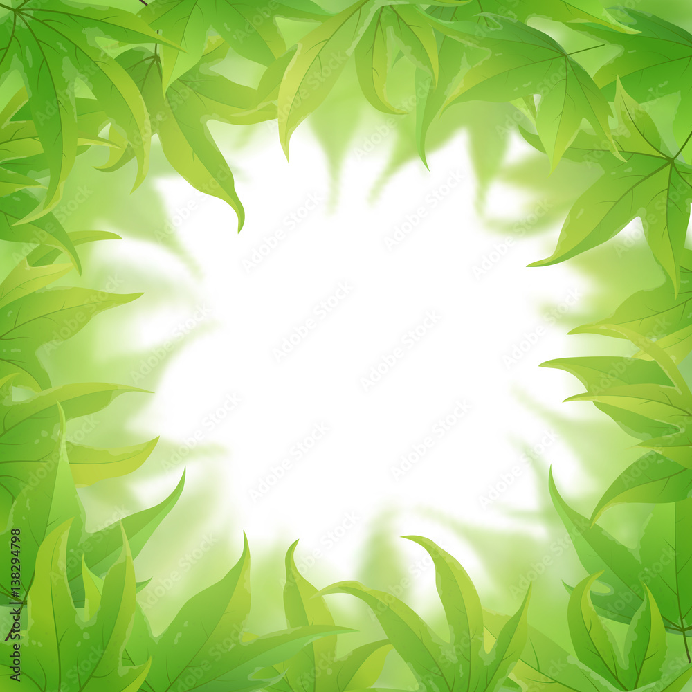 Frame of green maple leaves on white Frame of green maple leaves on white