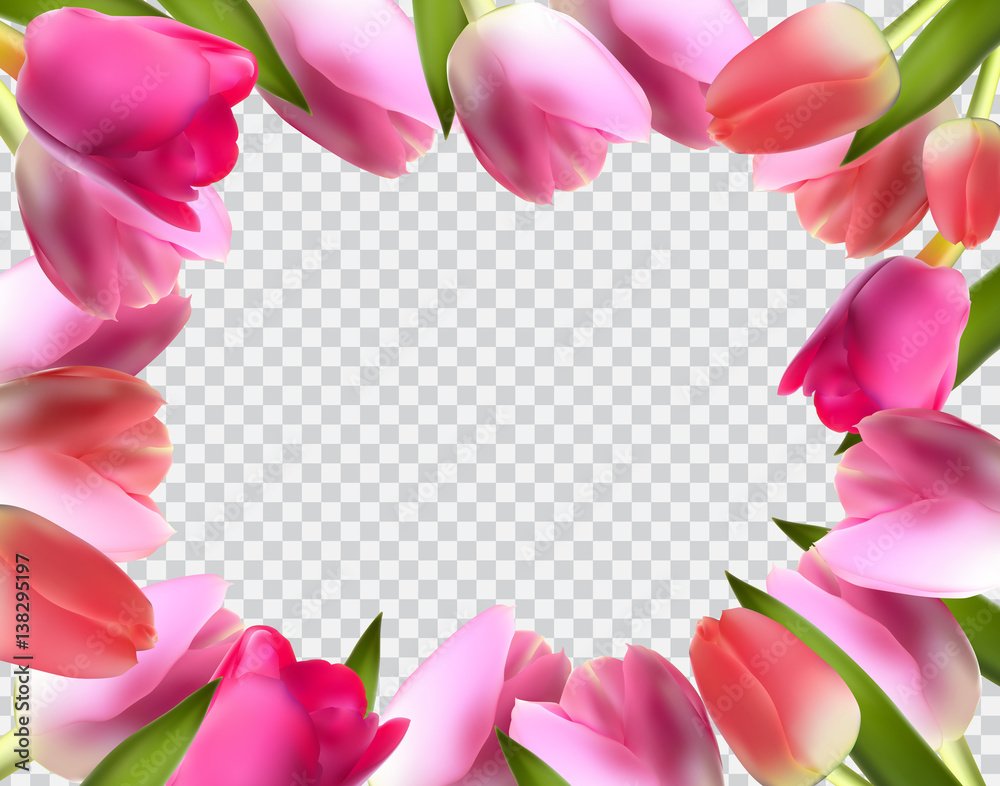 Beautiful Pink Realistic Tulip Frame Vector Illustration