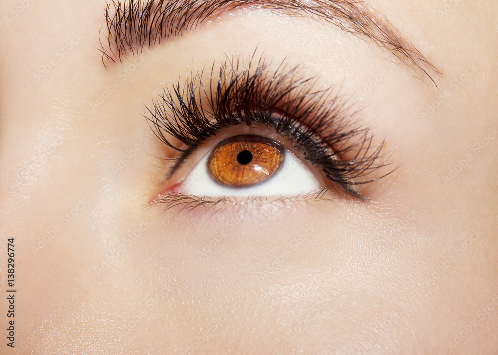 Blue Eye Makeup. Beautiful Eyes Make up detail, perfect beauty eyebrows Blue Eye Makeup. Beautiful Eyes Make up detail, perfect beauty eyebrows
