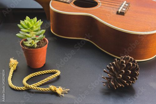 Cactus ukulele pine cones on a background of black.