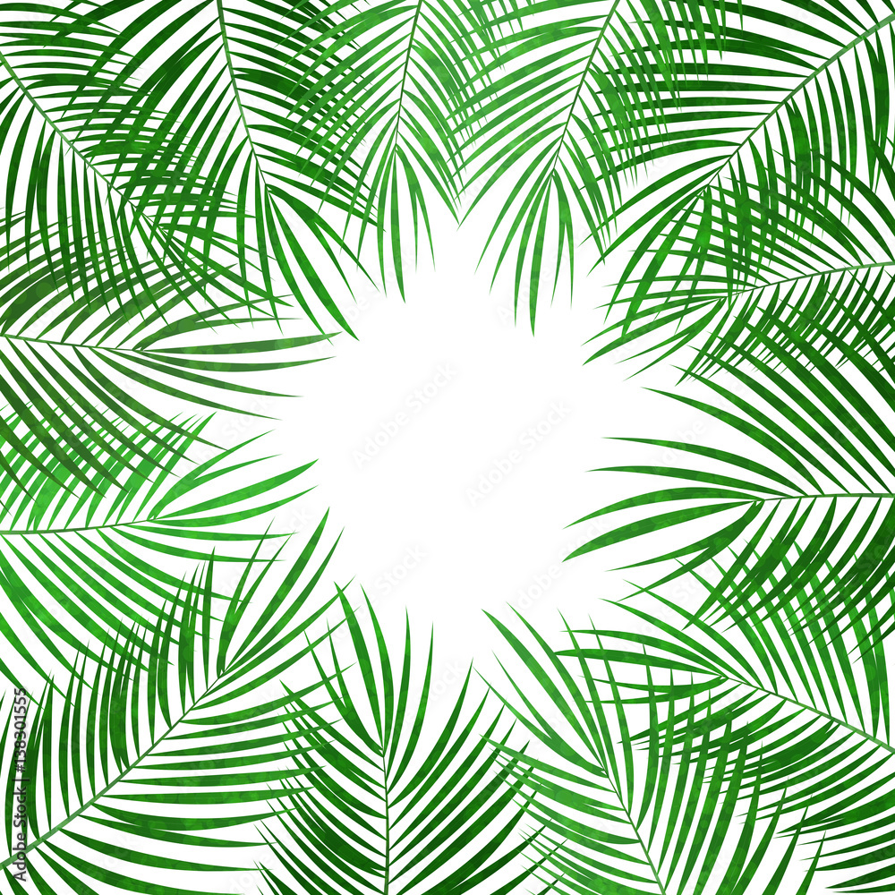 Palm Leaf Vector Background Illustration
