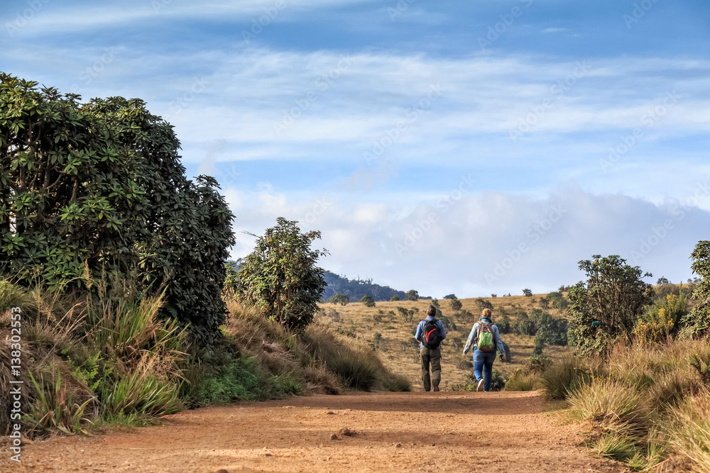 Group of travelers hike in Horton Plains