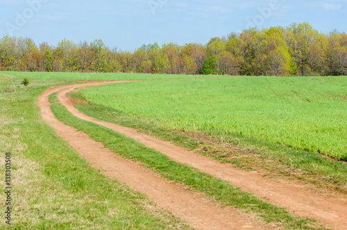 Road COUNTRY in spring day photo