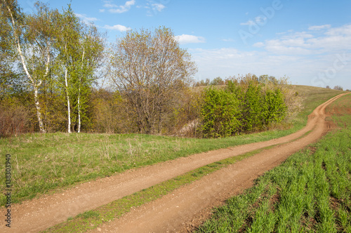 Road COUNTRY in spring day photo