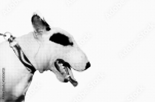 half tone dot graphic of bull terrier dog head photo