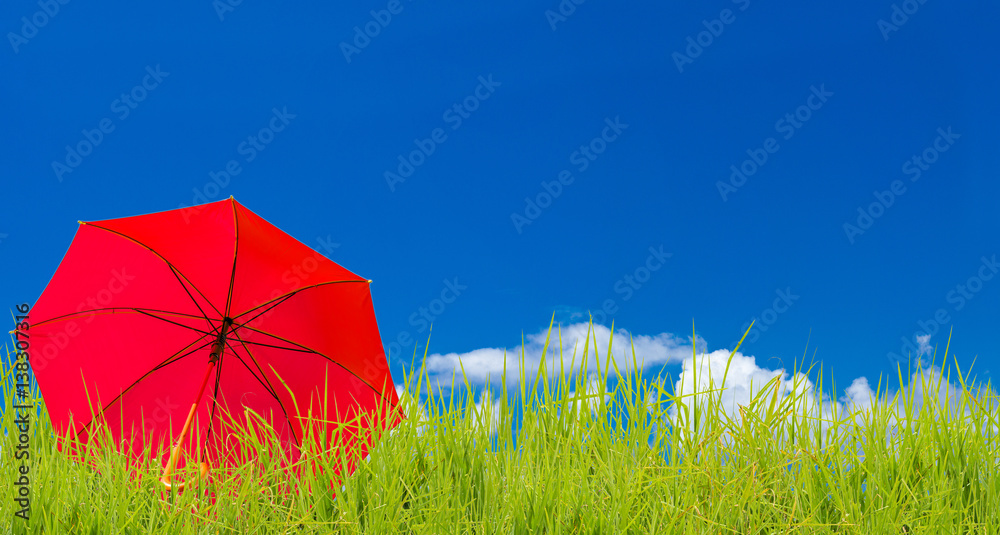 parasol rouge sur fond d'herbe et de ciel bleu