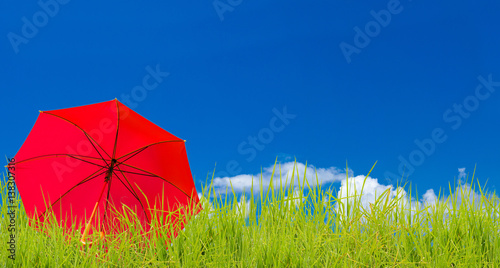 parasol rouge sur fond d herbe et de ciel bleu