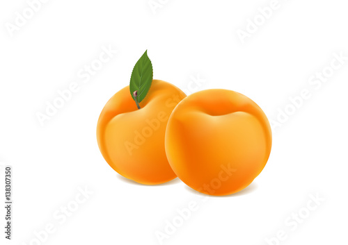 ripe apricots on a white background