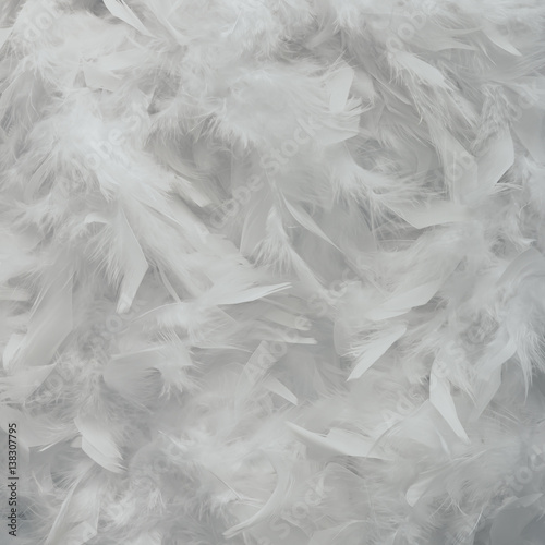 Bright white feather texture. Flat lay minimal concept.
