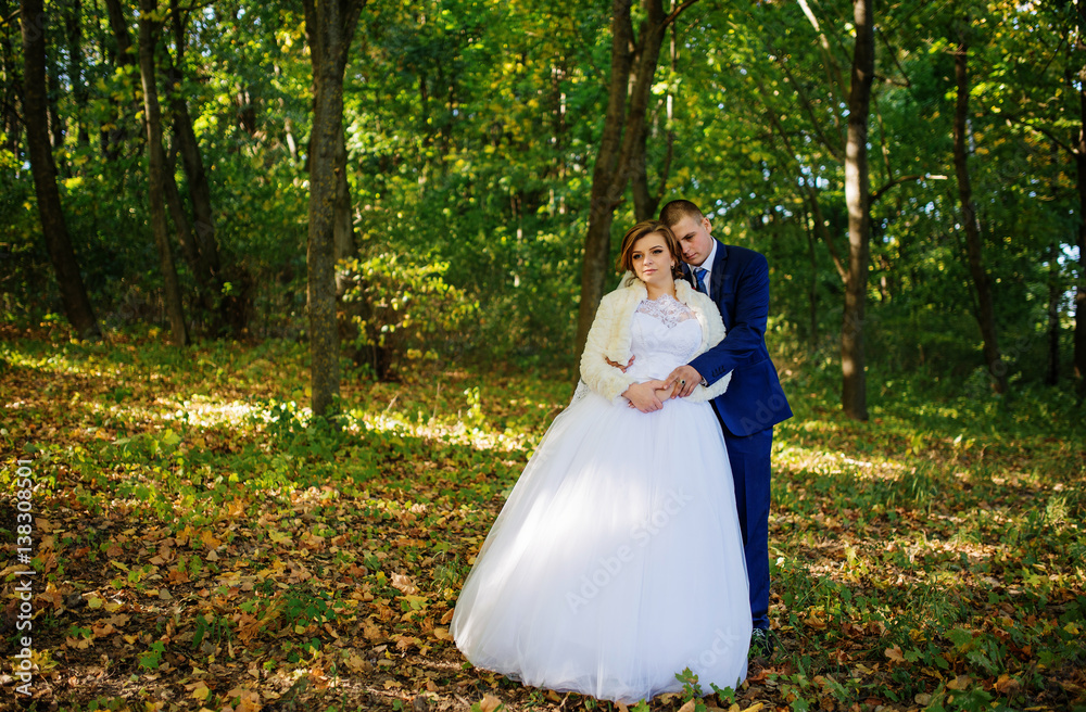Loving wedding couple hugging at autumn forest with yellow leaves and sunny day.