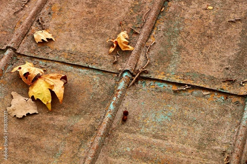 Yellow leaves on a rusty roof, green patina