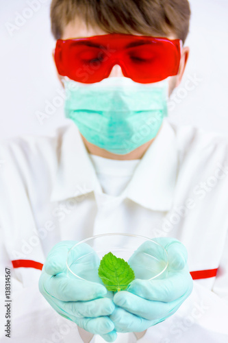Scientist holding gmo plant for testing in biolaboratory