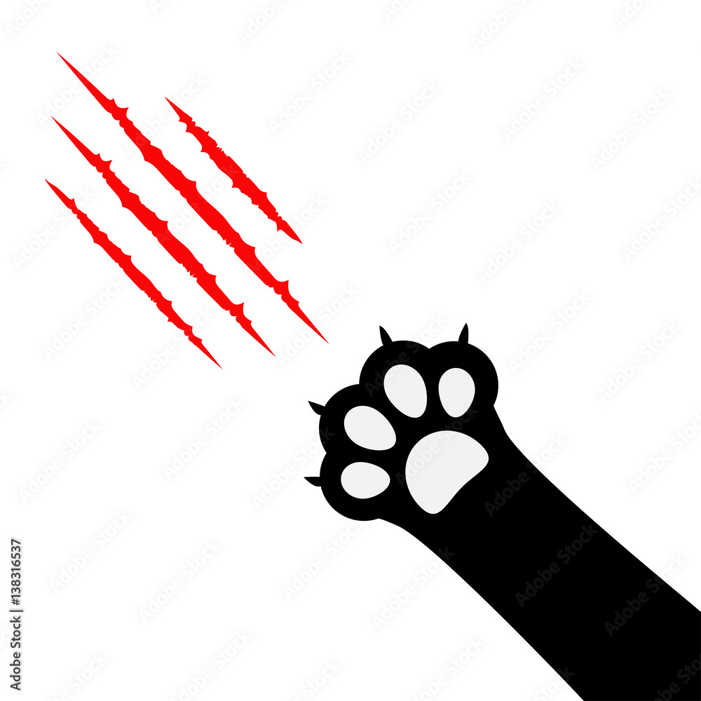 Stockvector Black Cat Paw Print Leg Foot. Bloody Claws Scratching Animal  Red Scratch Scrape Track. Diagonal Corner. Cute Cartoon Character Body Part  Silhouette. Baby Pet Collection. Flat White Background. | Adobe Stock