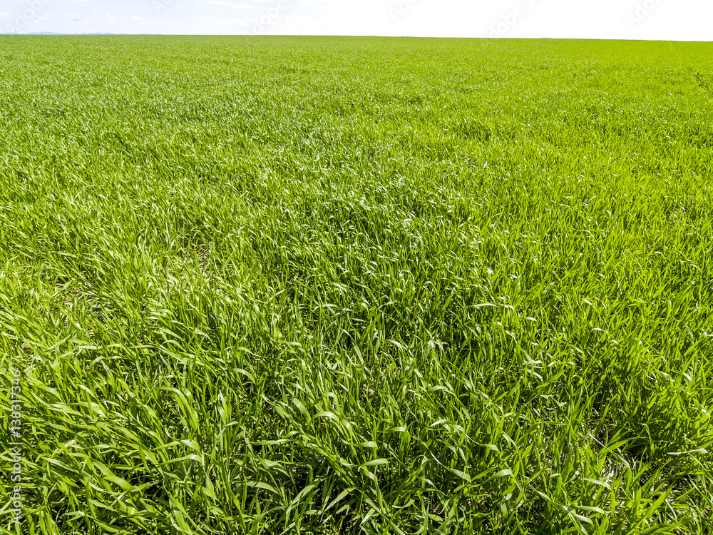 Fields until horizon, Austria, Lower Austria, Mostviertel Fields until horizon, Austria, Lower Austria, Mostviertel