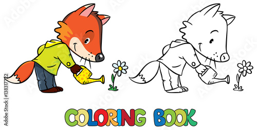 Coloring book of little funny fox watering flower